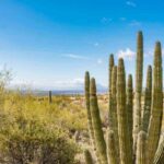 best time to travel to arizona