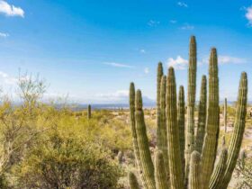 best time to travel to arizona