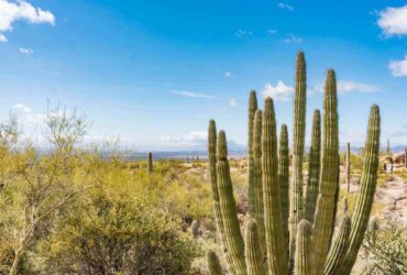 best time to travel to arizona