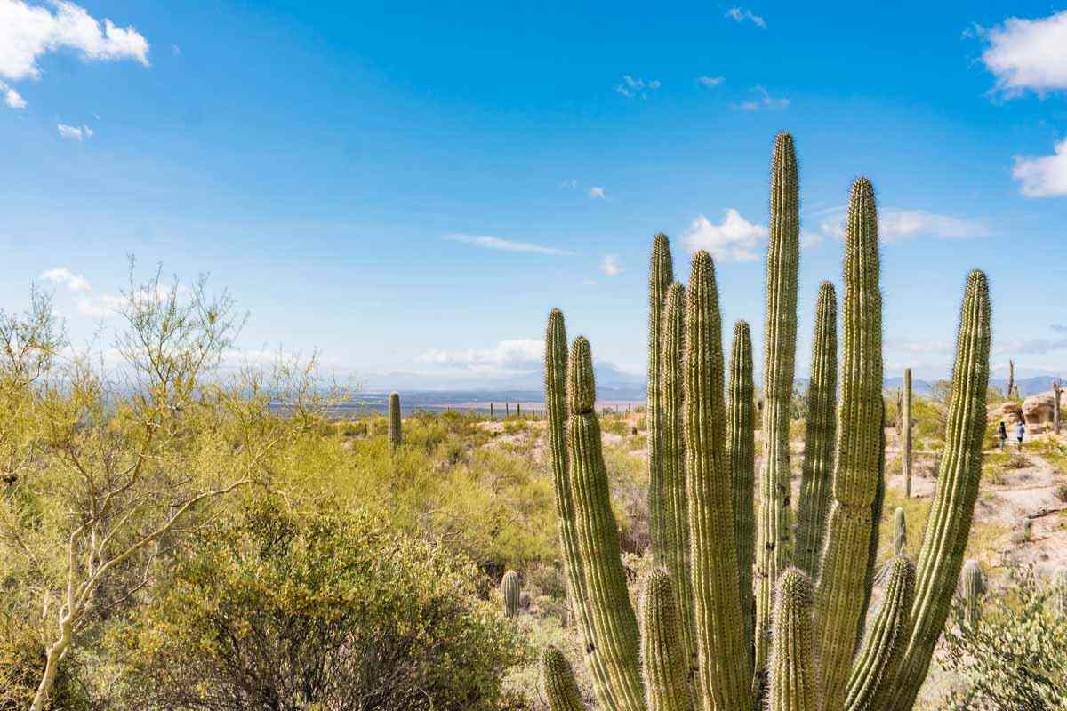 best time to travel to arizona