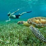 best time to travel to belize
