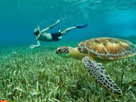 best time to travel to belize
