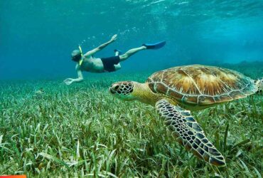 best time to travel to belize