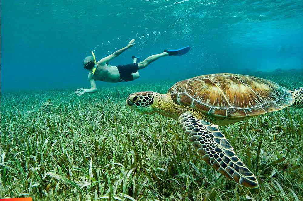 best time to travel to belize