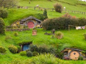 Best Time to Travel to Australia and New Zealand