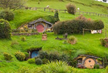 Best Time to Travel to Australia and New Zealand