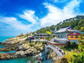 best time to travel to korea