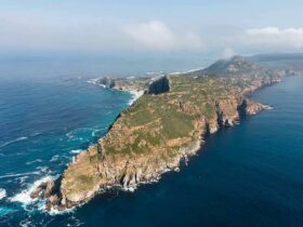 Best Time to Travel South Africa