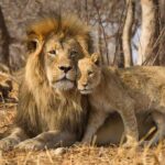 best time to visit africa