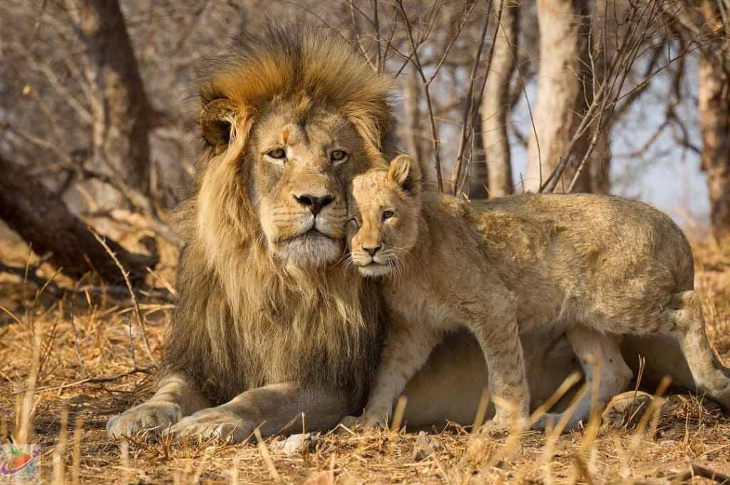 best time to visit africa