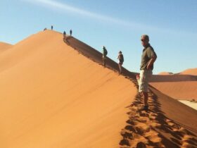 Best Time to Visit Namibia