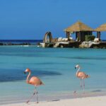 Best time to travel to aruba