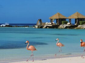 Best time to travel to aruba