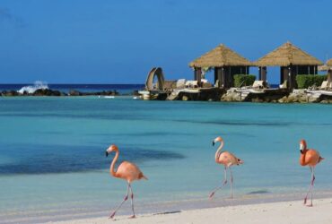 Best time to travel to aruba