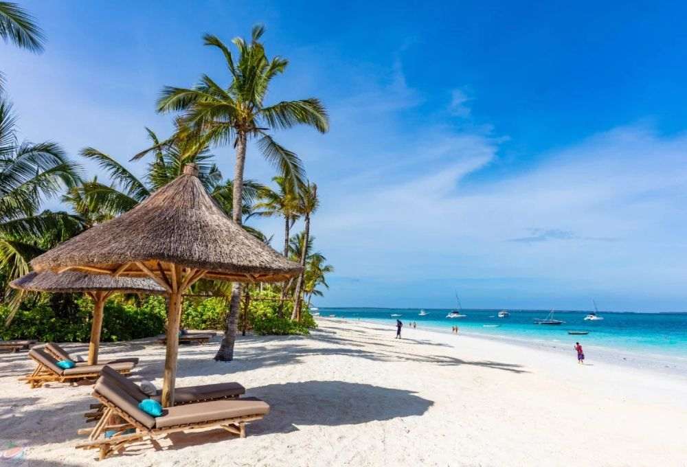 Tanzania Best Time to Travel – Your Ultimate Guide to Exploring Tanzania's Wonders