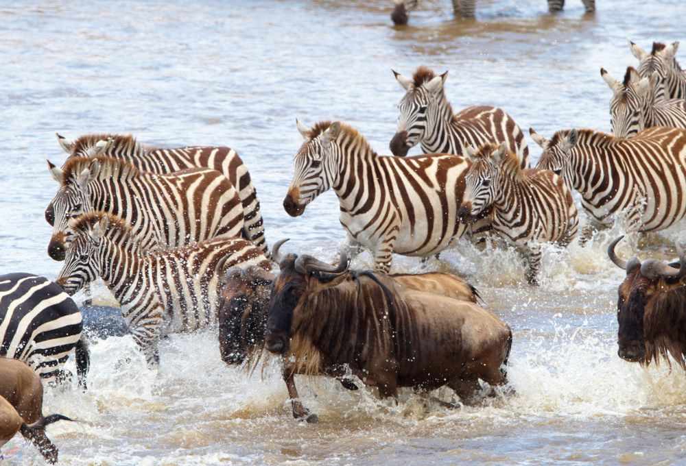 tanzania best time to travel