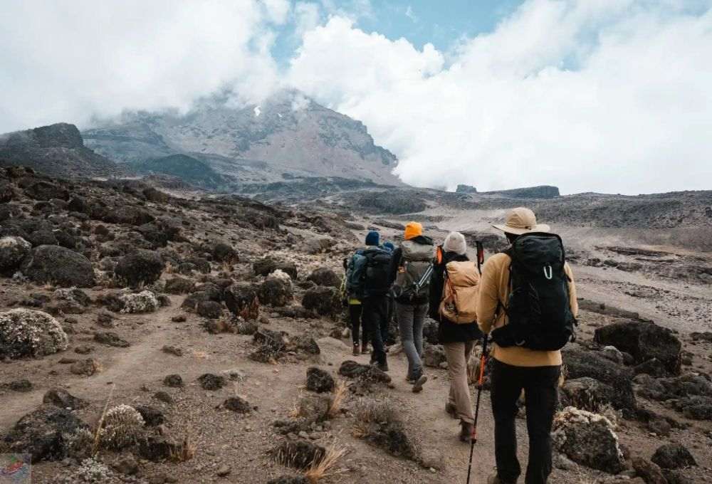tanzania best time to travel