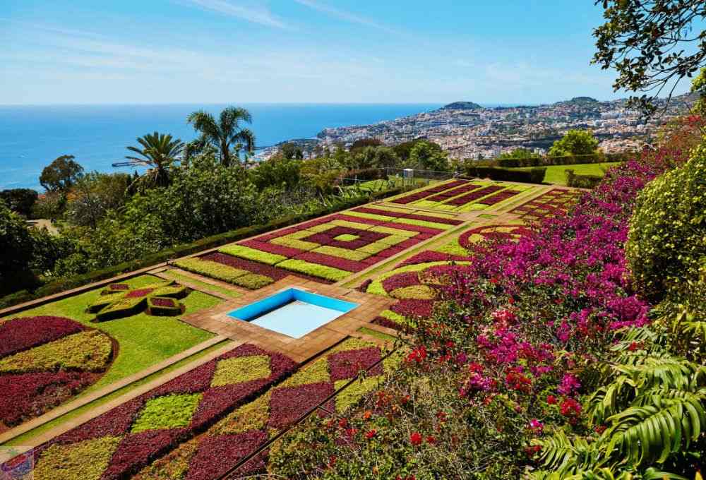 Madeira best time to travel: A Complete Guide for Your Perfect Vacation