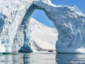 best time to travel to antarctica