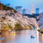 how much to travel to Japan