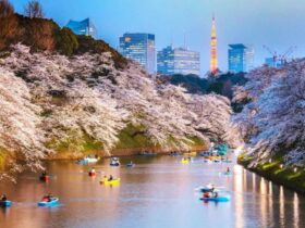 how much to travel to Japan