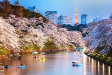 how much to travel to Japan