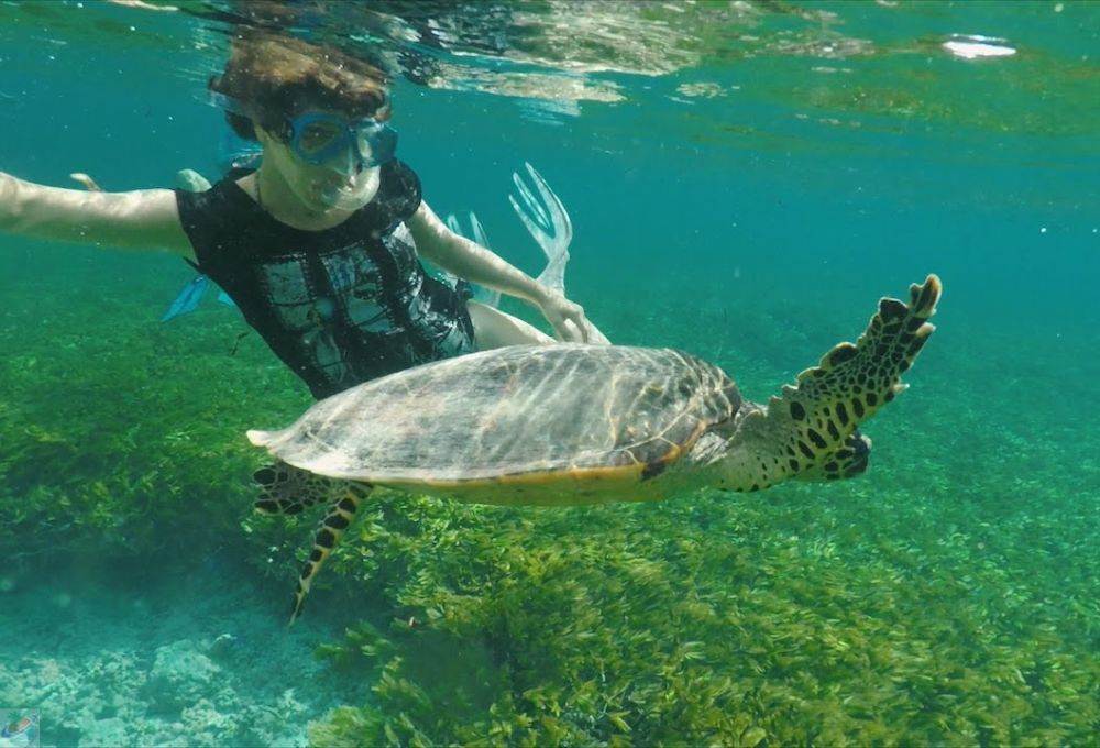 Seychelles best time to travel