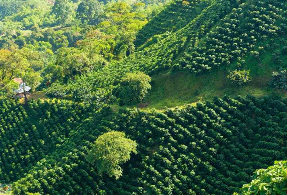 Incredible Places to Travel in South America