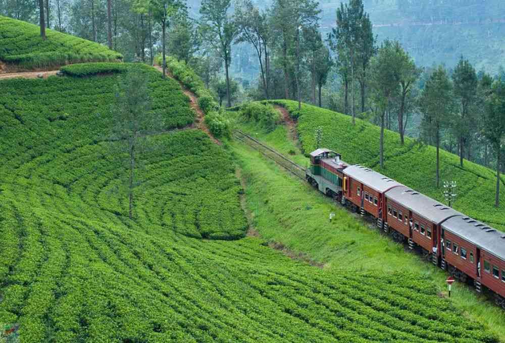 Best Time to Travel to Sri Lanka: A Complete Guide