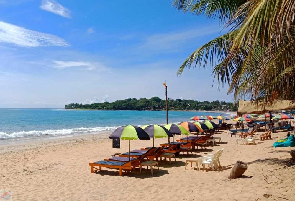 Best Time to Travel to Sri Lanka: A Complete Guide