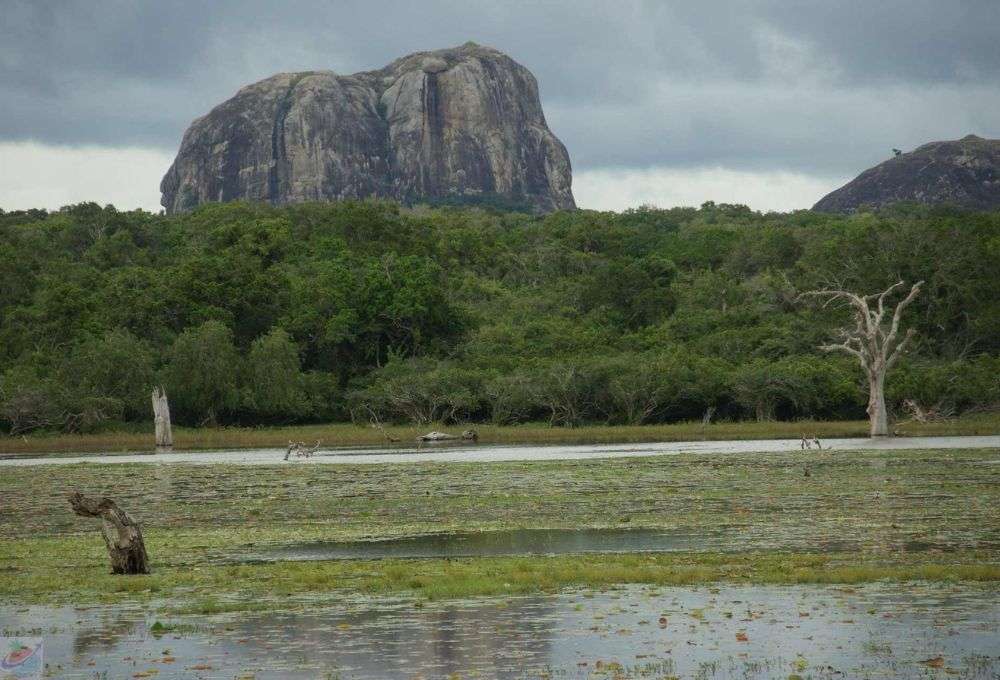 Best Time to Travel to Sri Lanka: A Complete Guide