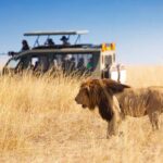 tanzania best time to travel