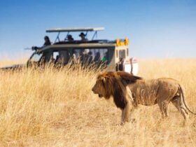 tanzania best time to travel