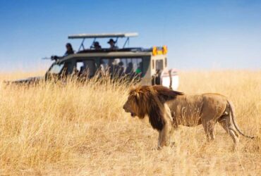 tanzania best time to travel