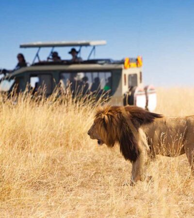 tanzania best time to travel