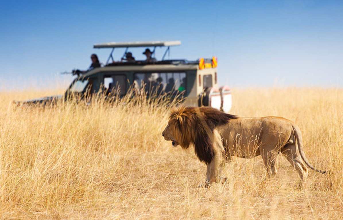 tanzania best time to travel